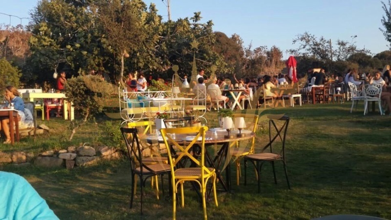 Limon Gümüşlük Restaurant — Φωτογραφίες (έως 6) 4