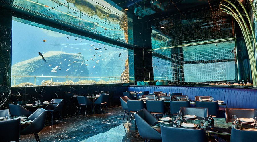 Nemo Restaurant — Fotoğraflar (en fazla 6) 3