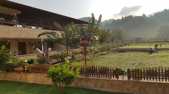 Doğa Restaurant (Doğa Çiftlik Evi) — Fotos (bis zu 6) 2