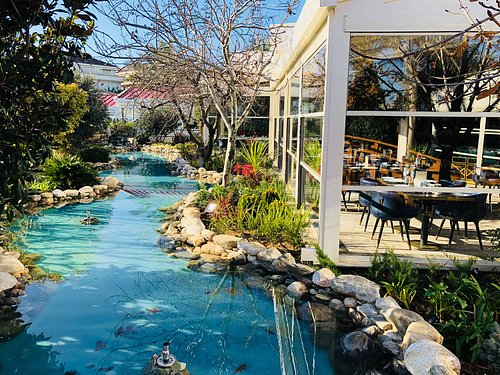 Kaşıbeyaz Florya — Fotoğraflar (en fazla 6) 6
