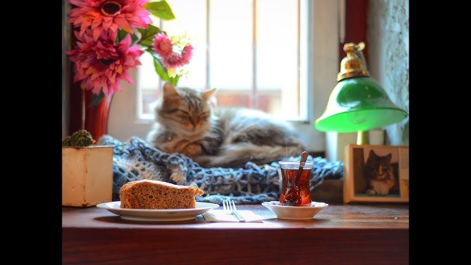 Fener Cafe Restaurant (Cafe Naftalin K) — Fotoğraflar (en fazla 6) 3