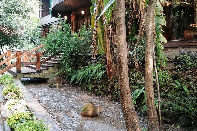 Vadi Restaurant — Fotoğraflar (en fazla 6) 3