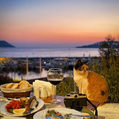 Nazende Restaurant — Fotoğraflar (en fazla 6) 4