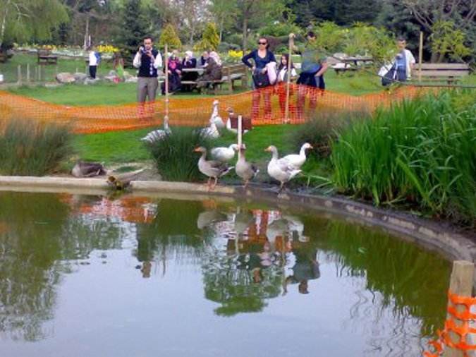 Botanik Restaurant (NGBB Park Cafe) — Fotoğraflar (en fazla 6) 3