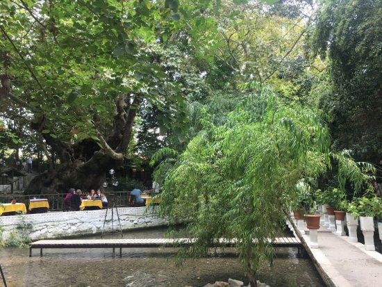 Pınarbaşı Restaurant — Fotoğraflar (en fazla 6) 4