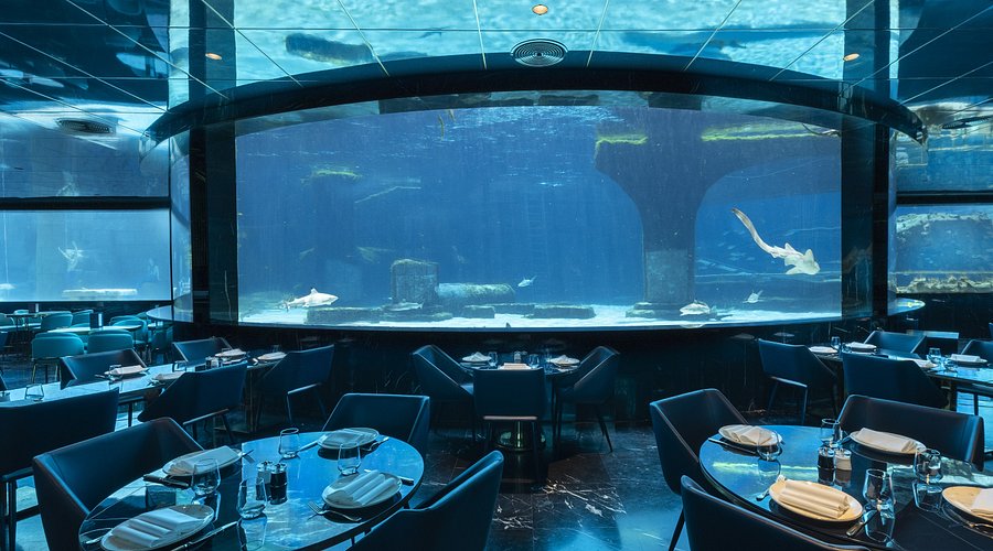 Nemo Restaurant — Fotoğraflar (en fazla 6) 4