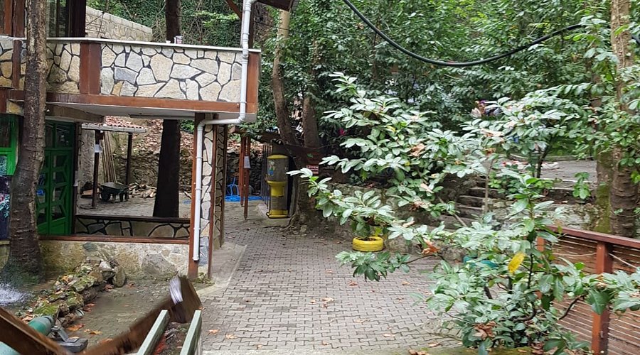 Maşukiye Şelale Restaurant — عکس‌ها (حداکثر ۶) 5